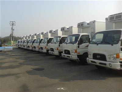 Xe tải thùng đông lạnh Hyundai Đồng Vàng